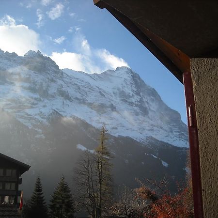 Pfaffenstoeckli Leilighet Grindelwald Eksteriør bilde