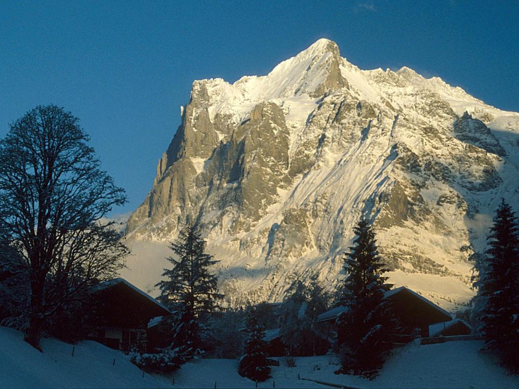 Pfaffenstoeckli Leilighet Grindelwald Eksteriør bilde
